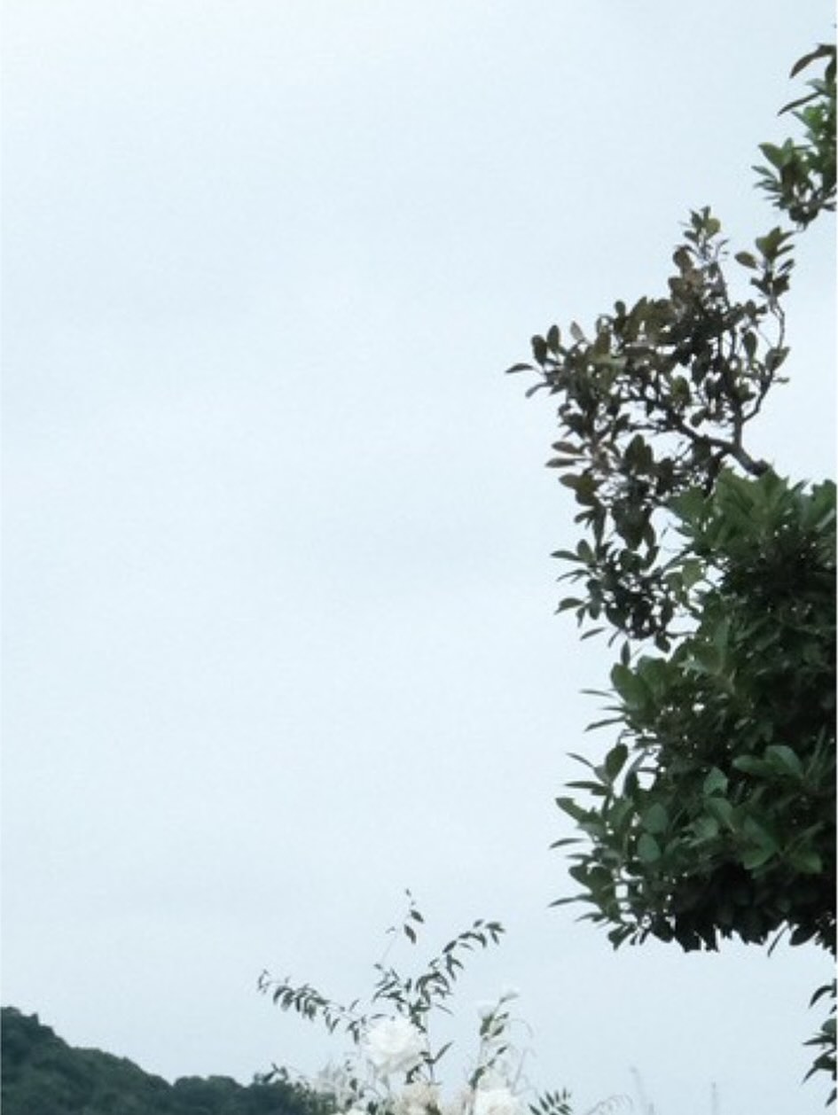 572715620 18334364146235756 5707753939265596717 n